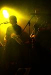 IMG_2169-800.jpg